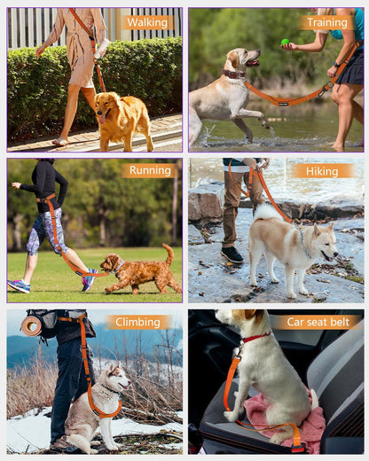 Hands Free Dog Leash, Multifunctional Crossbody Dog Leash