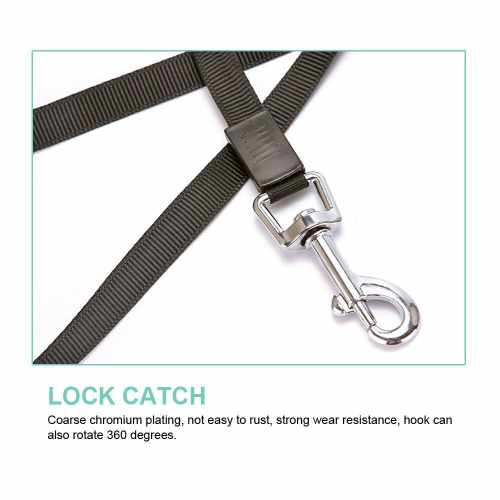 Automatic Retractable Dog Leash - leash casing and belt view