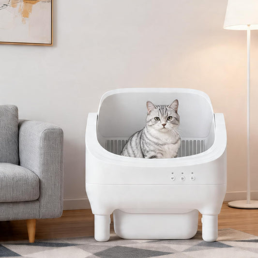 Smart Open Top Automatic Litter Box, Self Cleaning Cat Litter Box with App Control & Odor Isolation, Cat Litter, Large Capacity for Multiple Cats, Includes Trash Bags & Cat Litter Mat