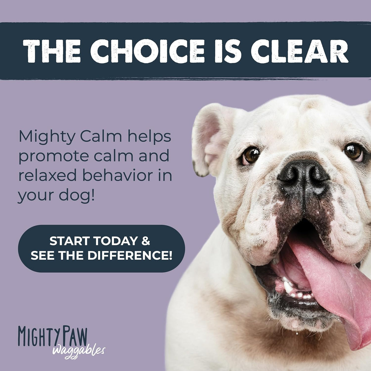 Calming Chews for Dogs with Melatonin, Waggables, 120 Count