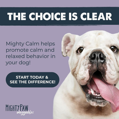 Calming Chews for Dogs with Melatonin, Waggables, 120 Count