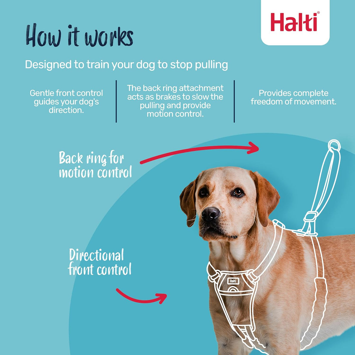 No Pull Dog Harness | Size M, Black