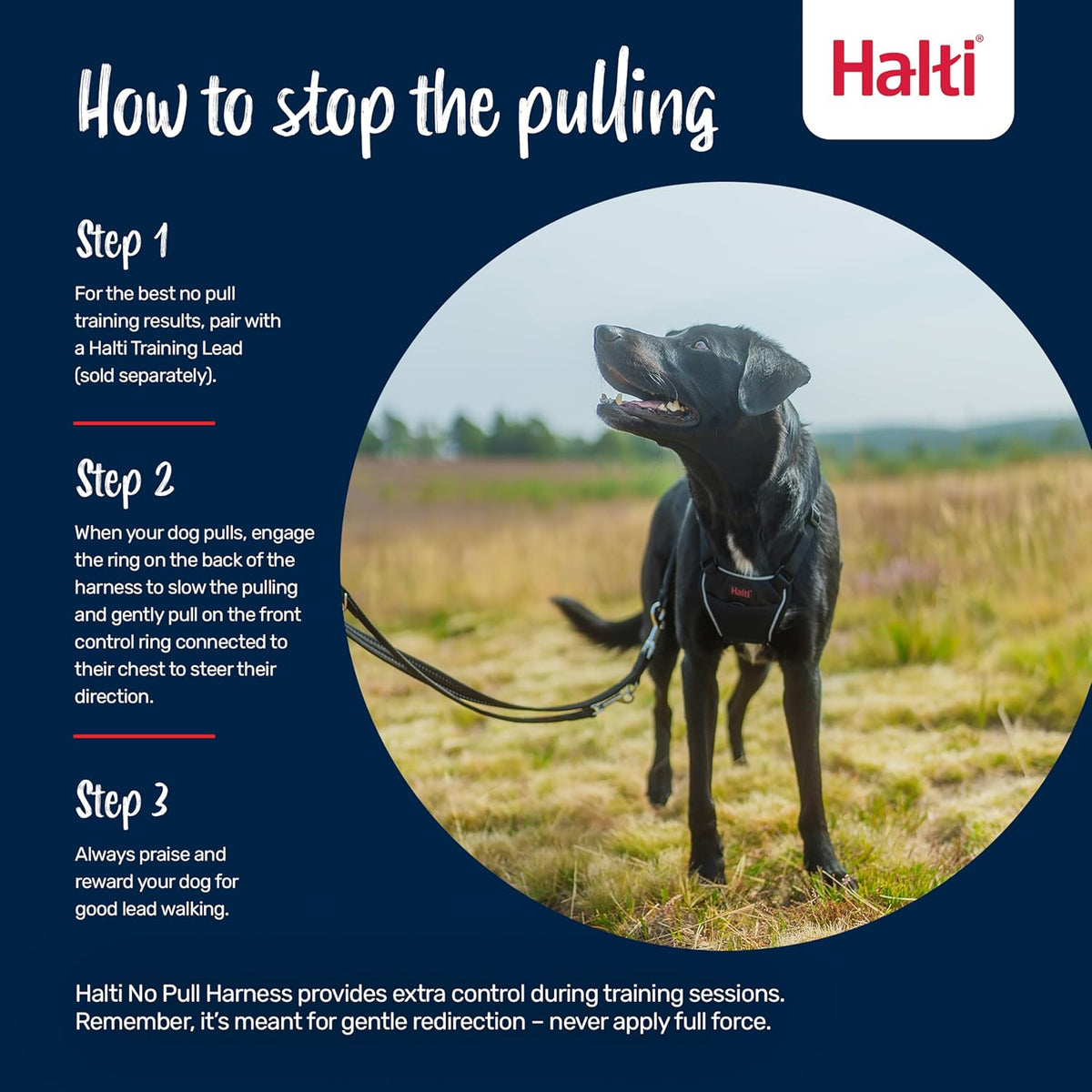 No Pull Dog Harness | Size M, Black