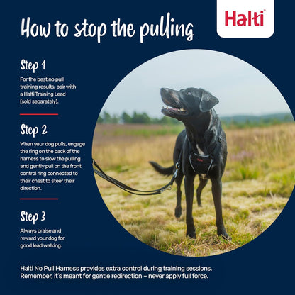 No Pull Dog Harness | Size M, Black