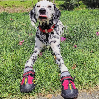 Dog Shoes for Hot Pavement, Dog Snow Boots & Paw Protectors for Winter