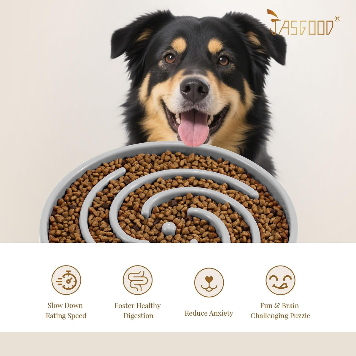 Slow Feeder Dog Bowl - Anti-Gulping, Prevents Bloat & Choking, Healthy Design for Large & Medium Dogs