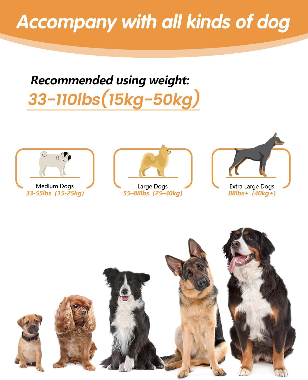 Hands Free Dog Leash, Multifunctional Crossbody Dog Leash