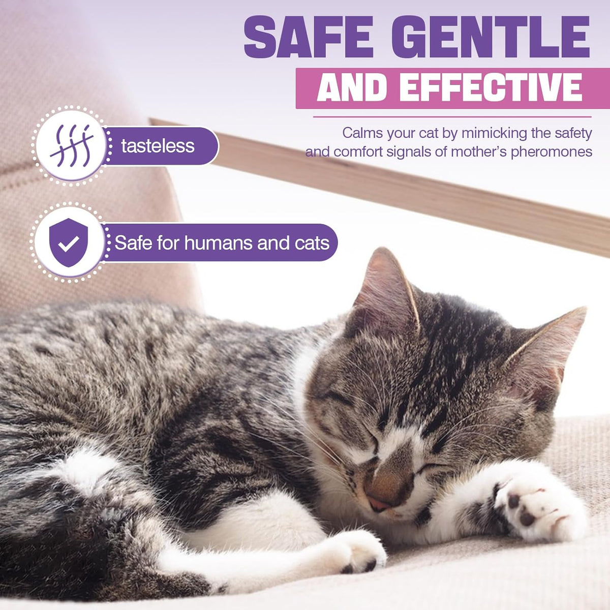 Cat Pheromones Calming Diffuser Refill 6 Pack Multicat Pheromone Diffusers