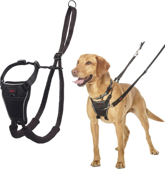 No Pull Dog Harness | Size M, Black