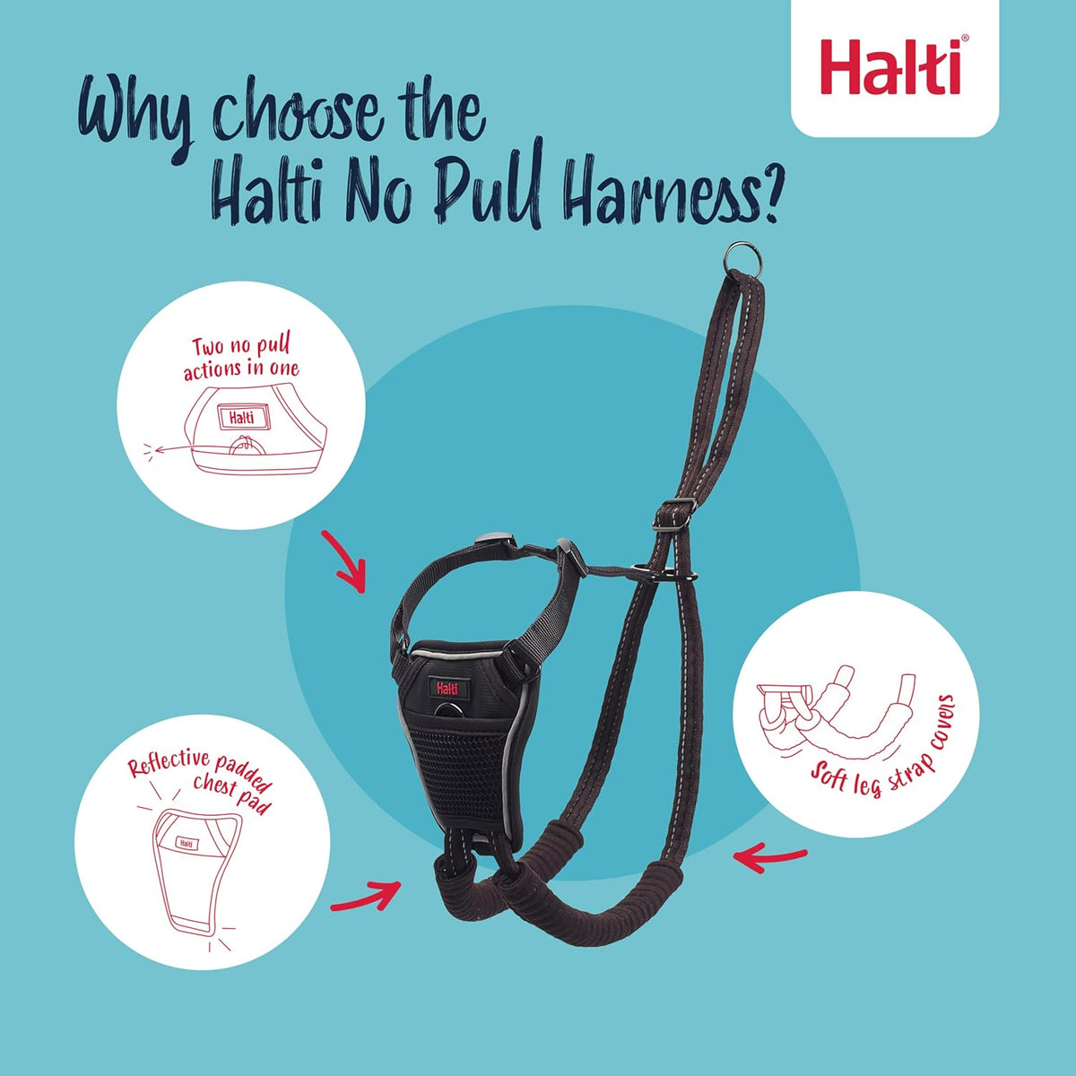 No Pull Dog Harness | Size M, Black