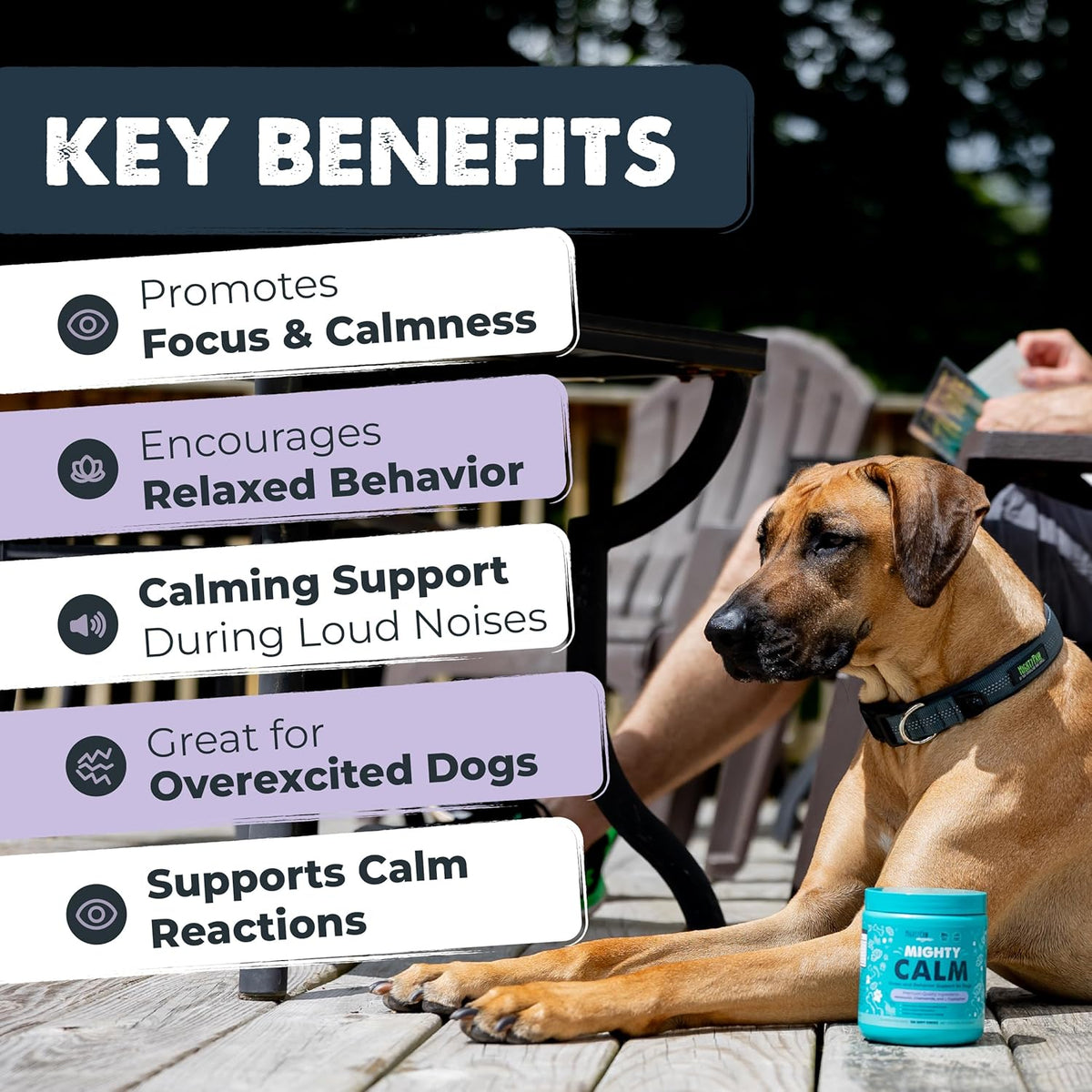 Calming Chews for Dogs with Melatonin, Waggables, 120 Count