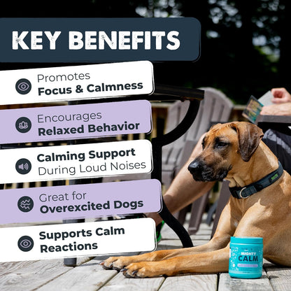 Calming Chews for Dogs with Melatonin, Waggables, 120 Count