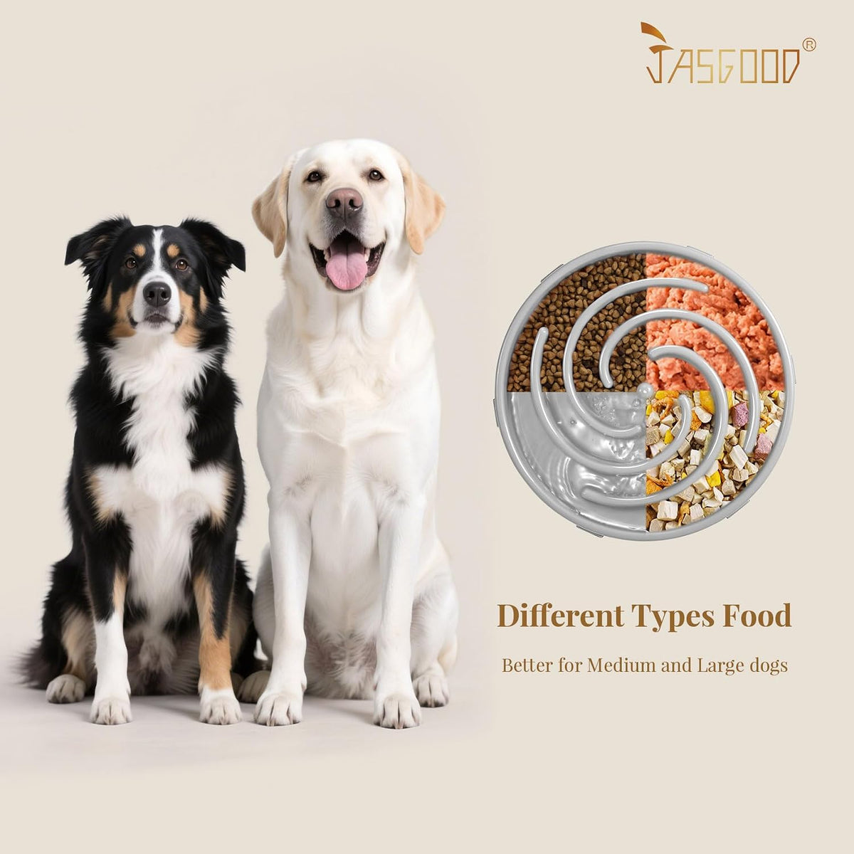 Slow Feeder Dog Bowl - Anti-Gulping, Prevents Bloat & Choking, Healthy Design for Large & Medium Dogs